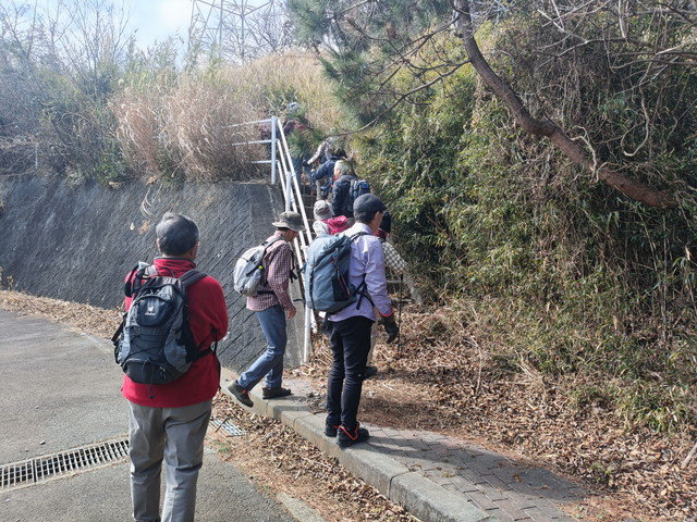 img0010.jpg