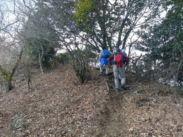 img0013.jpg