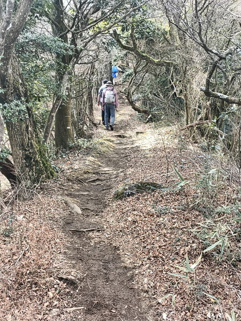 img0015.jpg