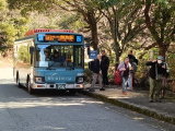 img0008.jpg
