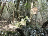 img0029.jpg