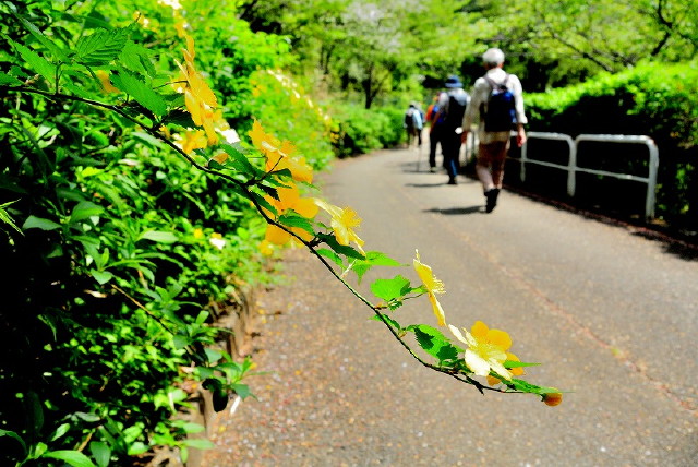 img0012.jpg