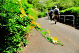 img0012.jpg