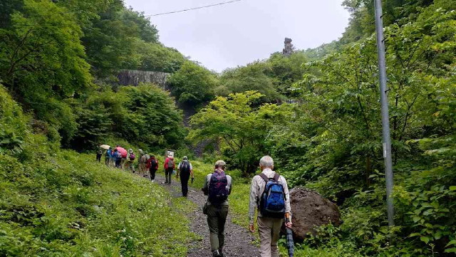 img0008.jpg