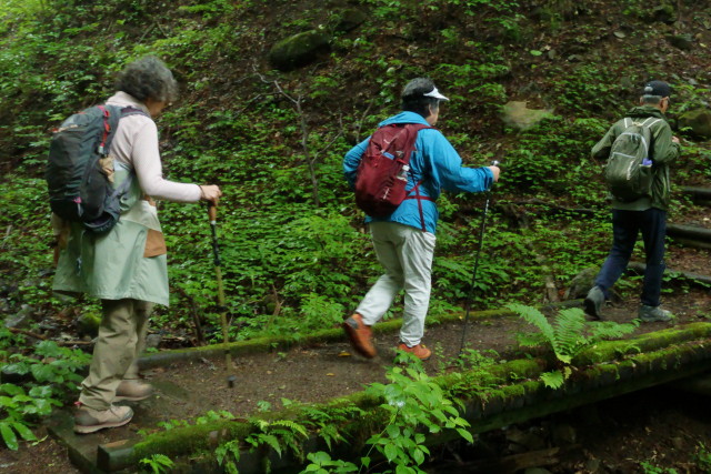 img0009.jpg