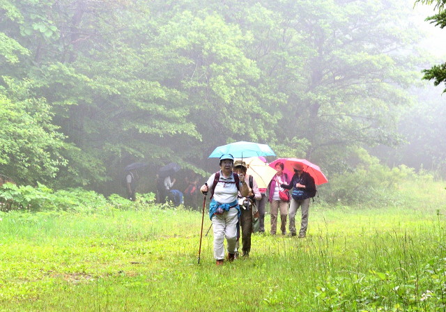 img0018.jpg