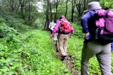 img0014.jpg