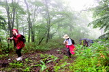 img0015.jpg
