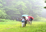img0018.jpg