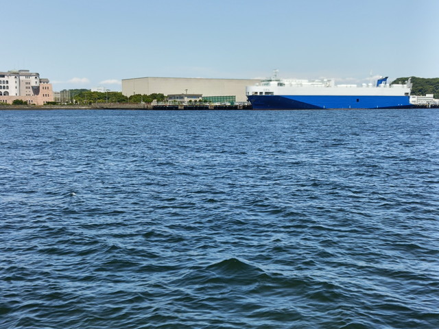 img0008.jpg