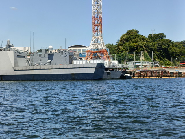 img0010.jpg