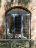 img0027.jpg