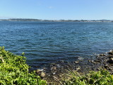 img0041.jpg