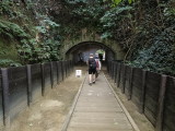 img0045.jpg