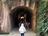 img0047.jpg