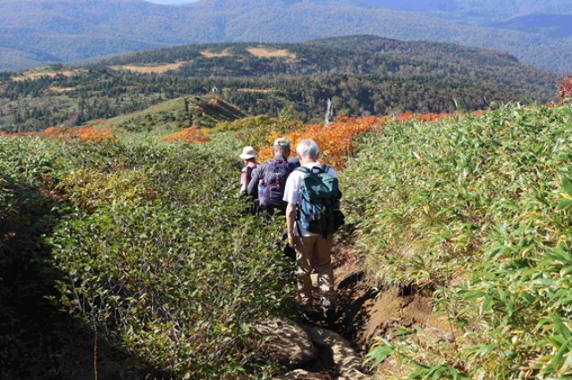 img0010.jpg