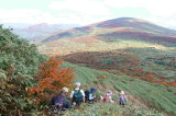 img0008.jpg