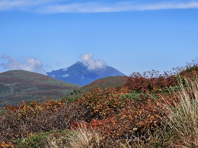 img0002.jpg