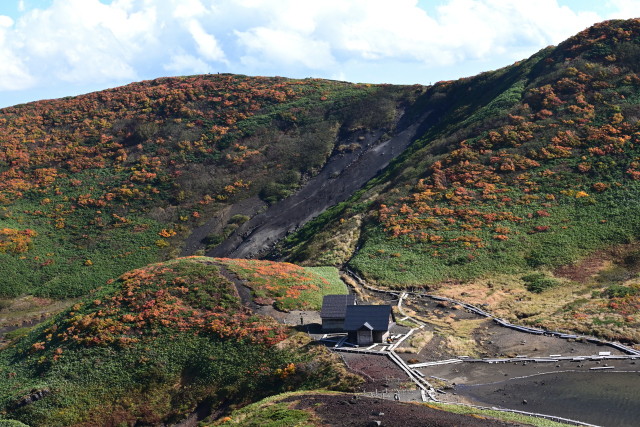 img0010.jpg
