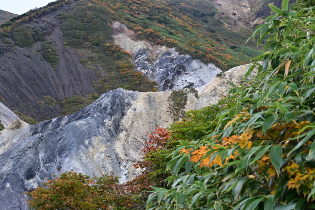 img0017.jpg