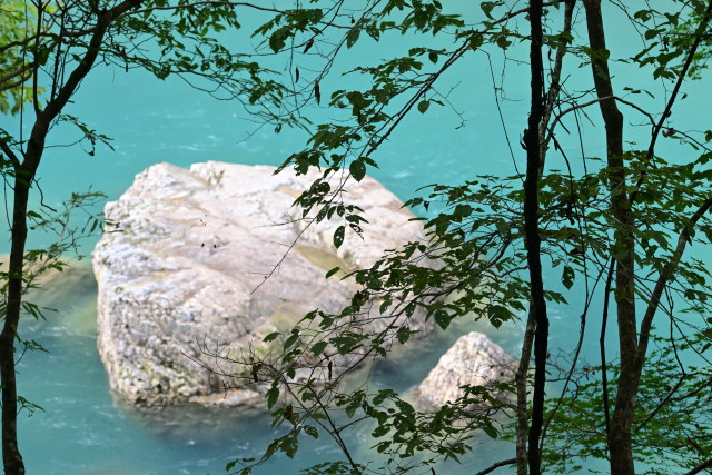 img0026.jpg