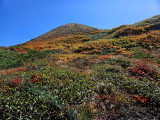 img0001.jpg