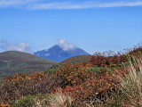 img0002.jpg