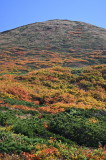 img0007.jpg