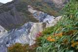 img0017.jpg