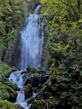 img0028.jpg