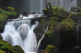 img0029.jpg