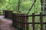 img0030.jpg
