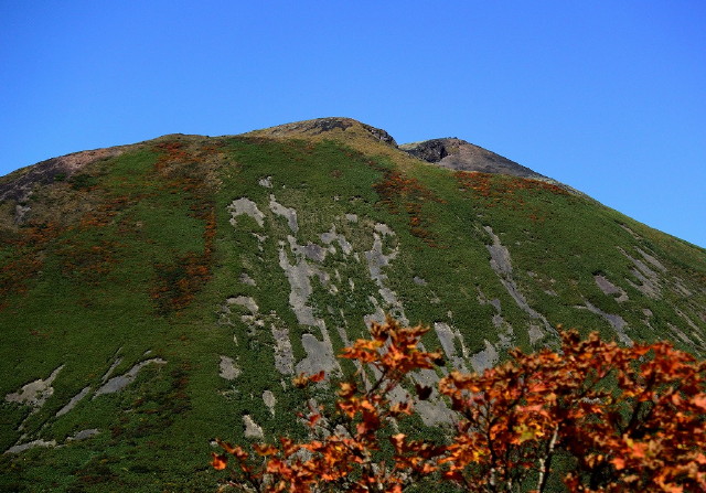 img0010.jpg