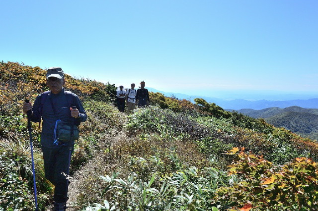img0017.jpg