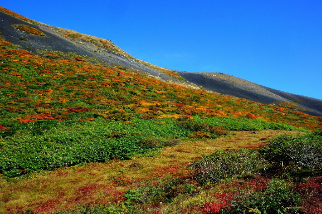 img0029.jpg