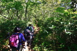 img0004.jpg