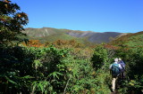 img0011.jpg