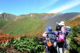 img0015.jpg