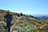 img0017.jpg