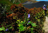 img0018.jpg