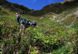 img0033.jpg
