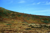 img0044.jpg