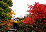 img0055.jpg