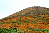 img0057.jpg