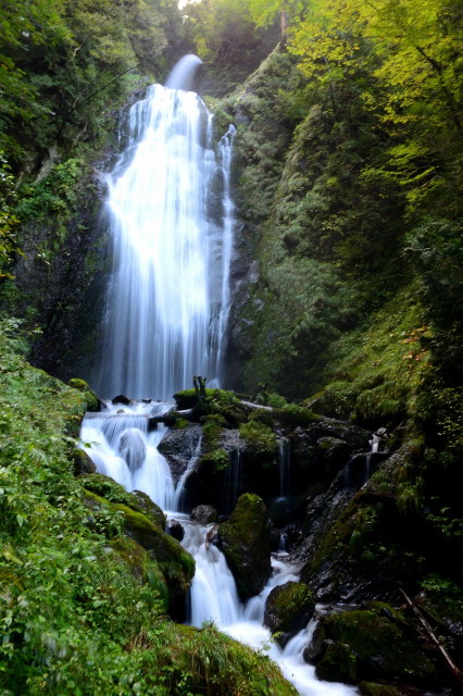 img0010.jpg