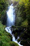 img0010.jpg