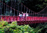 img0013.jpg