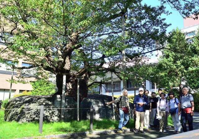 img0016.jpg