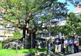 img0016.jpg