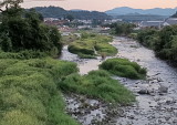 img0010.jpg